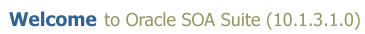 Welcome to Oracle SOA Suite